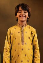 Silk  Embroidered Kurta Pajama Set For Boys